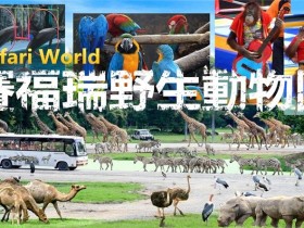 曼谷 | Safari World 赛佛瑞野生动物园 亚洲最大!! 交通门票指南!!