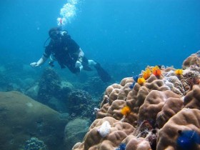 泰国潜水攻略指南:最佳时间、最佳地点