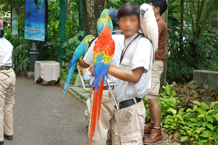 曼谷 | Safari World 赛佛瑞野生动物园 亚洲最大!! 交通门票指南!!的图片 第7张 曼谷 | Safari World 赛佛瑞野生动物园 亚洲最大!! 交通门票指南!!