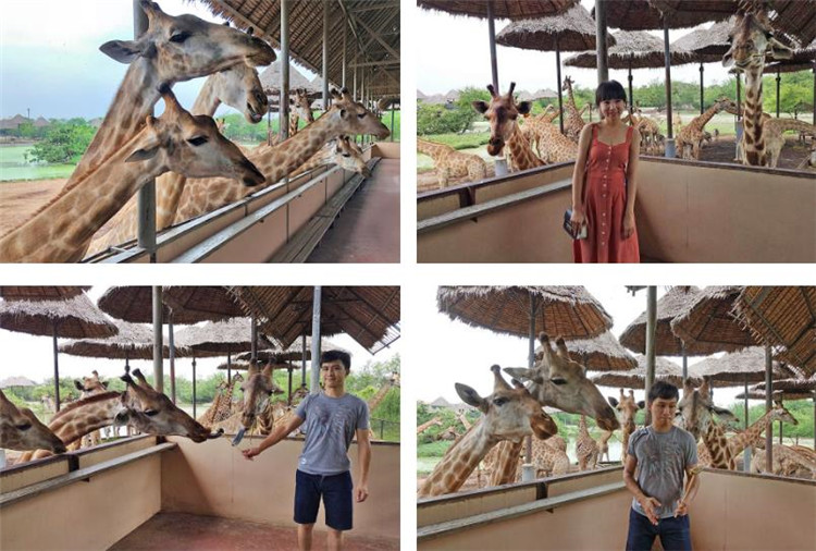 曼谷 | Safari World 赛佛瑞野生动物园 亚洲最大!! 交通门票指南!!的图片 第40张 曼谷 | Safari World 赛佛瑞野生动物园 亚洲最大!! 交通门票指南!!