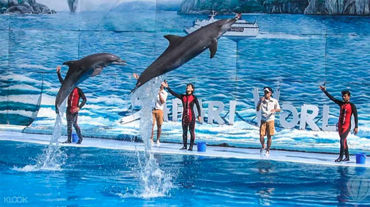 曼谷 | Safari World 赛佛瑞野生动物园 亚洲最大!! 交通门票指南!!的图片 第42张 曼谷 | Safari World 赛佛瑞野生动物园 亚洲最大!! 交通门票指南!!