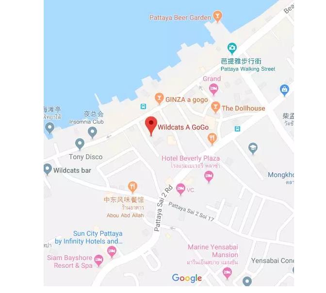 Wildcats gogobar,一家隐藏在芭提雅步行街巷子里的好店的图片 第2张 Wildcats gogobar,一家隐藏在芭提雅步行街巷子里的好店