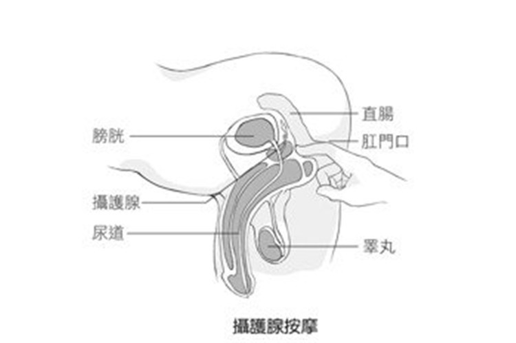 高潮 「手爱」不是摸你想摸的！14张图片教你让伴侣高潮的姓爱按摩 夜场常识 更新时间 2021-08-11 09:17 1